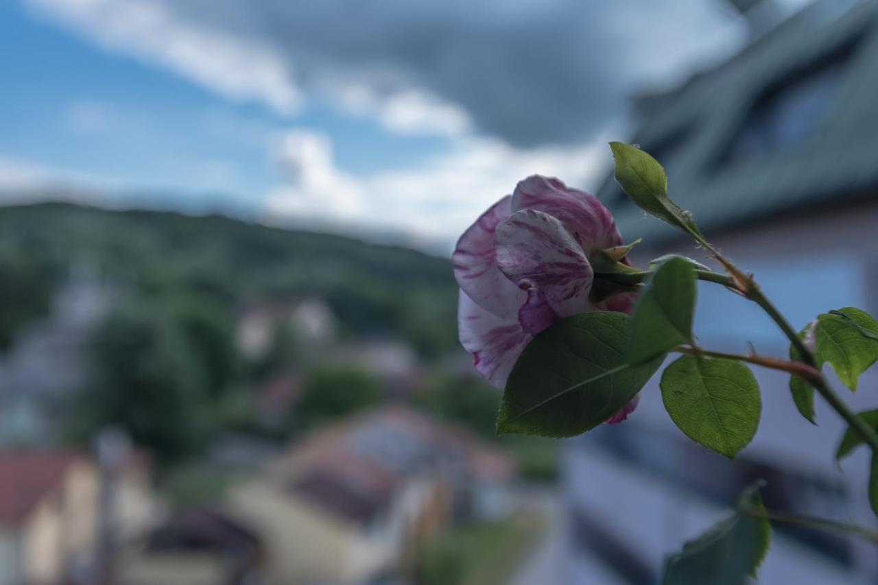 Onore Dell Amore Apartman Sa Djakuzijem Banja Koviljača Екстериор снимка